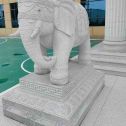 汉中 白麻花岗岩动物异形石雕-大象